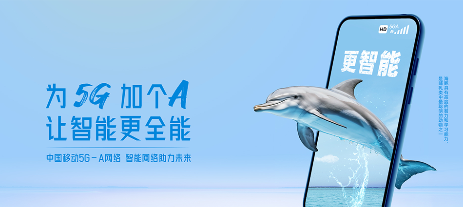 中国移动大东区移动宽带