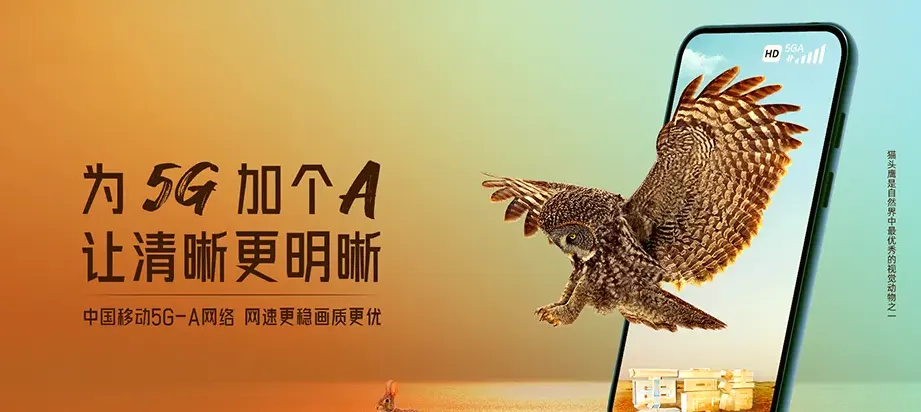 大东区大东区万泉街道 移动宽带