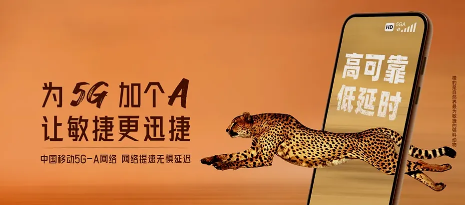 大东区大东区津桥街道 移动宽带