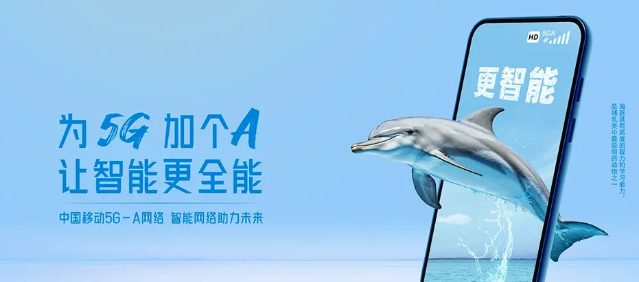 大东区大东区前进街道 移动宽带